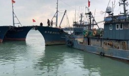 爆料渔船视频播放大全最新,海上捕捞瞬间大盘点